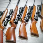 Best Scopes for Pellet Guns