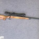 Best 22 250 Scopes for Coyote Hunting