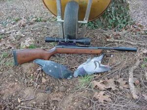 Best Air Rifles for Pest Control