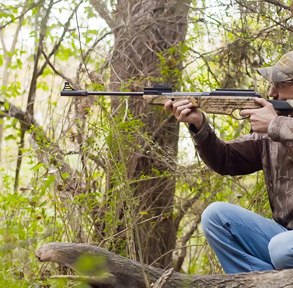 9 Best Air Rifle for Squirrels- Squirrel Hunting [Buyer's Guide]