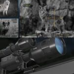 Best Night Vision Scopes for Coyote Hunting