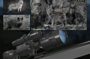 Best Night Vision Scopes for Coyote Hunting