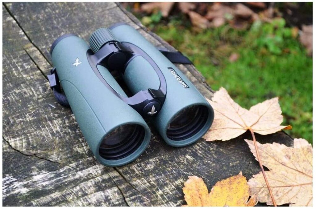 5 Best Swarovski Binoculars for Birding [Best Swarovski Binoculars]