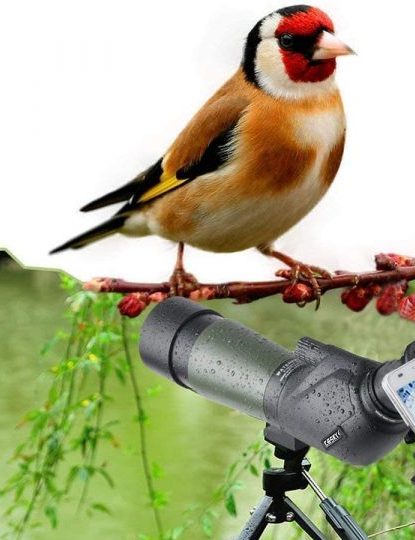 best spotting scope for 500 yards