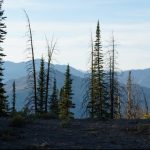 best spotting scope for backcountry hunting