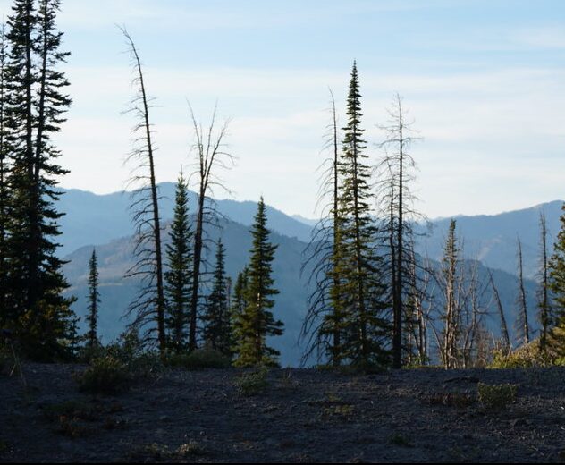 best spotting scope for backcountry hunting