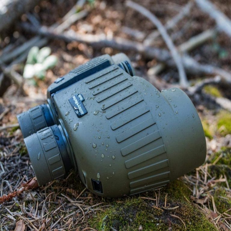 7 Best Binoculars for Hunting Longrange