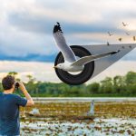 Best Binoculars for Stargazing and Bird Watching