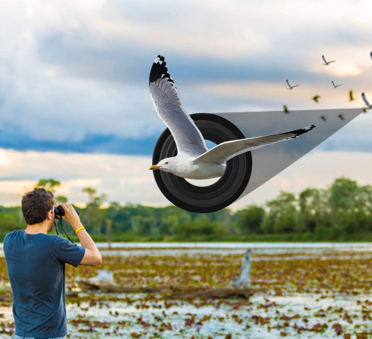 8 Best Binoculars for Stargazing and Bird Watching