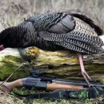 best red dot scope for turkey shotgun hunting