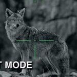 Best Night Vision Scope Under 2000