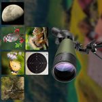 Best Budget Spotting Scope for Target Shooting