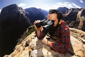 Are Bushnell Binoculars Good for Birding?