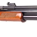 Most Powerful Air Rifles