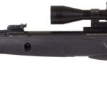 Best Air rifle for Rats